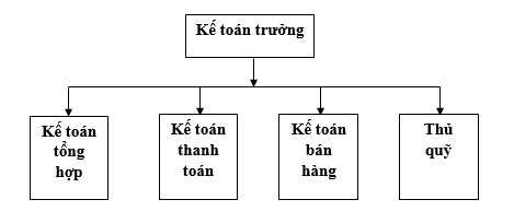 Chức năng, nhiệm vụ, quyền hạn của Kế toán trưởng